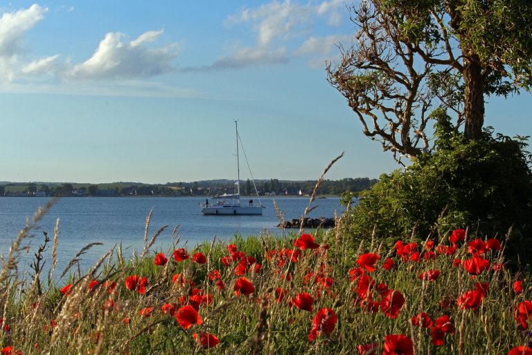 Gager eiland ruegen